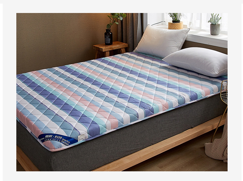 Lightweight Multi-Purpose Sofa Bed Mattress