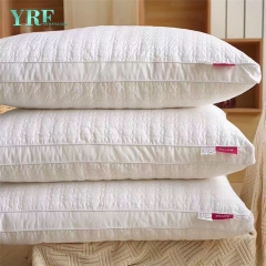 Almofadas pequenas universitárias profissionais